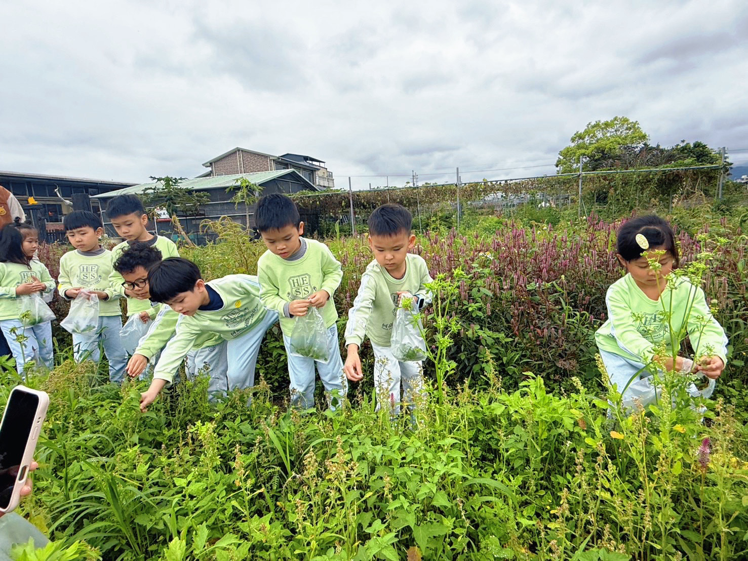 花蓮櫻田野野菜偵探田野體驗活動