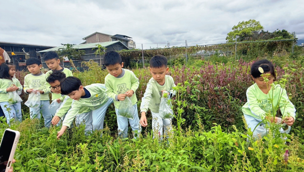 櫻田野養生休閒農莊 (❁´◡`❁) 野菜偵探出任務
